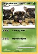 berger allemand