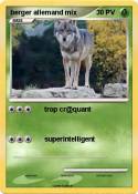 berger allemand