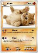 Kitten