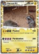 Racoon EX
