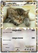 cutey kitty
