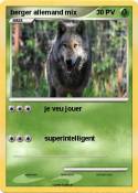 berger allemand