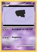 LOL CAT