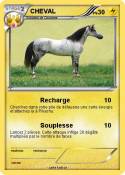 CHEVAL