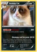 Grumpy Cat