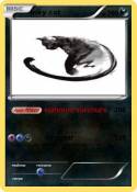 inky cat