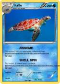 turtle