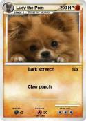 Lucy the Pom