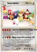 TEAM MARIO