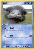 KintZ