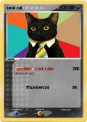 cool cat