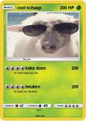 cool schaap