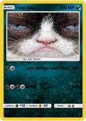 mad kitty