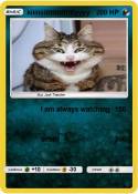 kiiiiiiiiittttt