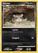 Hamster