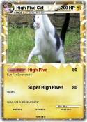 High Five Cat