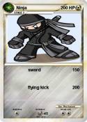 Ninja