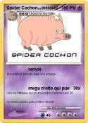 Spider Cochon