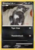 Sleeping Cat