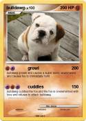 bulldawg