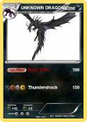 UNKNOWN DRAGON!