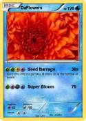 DaFlowers