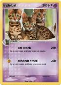 triplelcat
