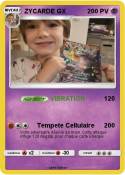 ZYCARDE GX