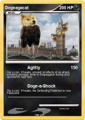 Dogeagacat