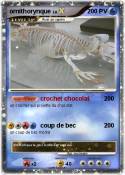 ornithorynque