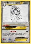 winter tigers
