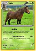 mule