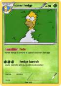 homer hedge