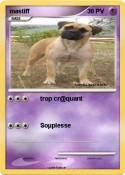 mastiff