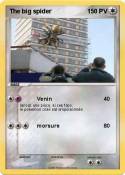 The big spider