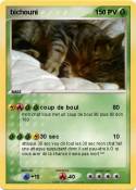 bichouni