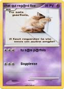 chat qui reg@rd