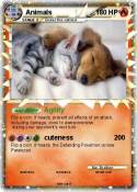 Animals