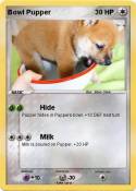 Bowl Pupper