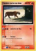 l'ombre caché