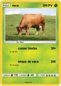vaca