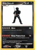 Ninja Boy