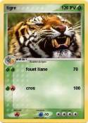 tigre