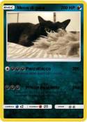 Meow di galar