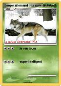 berger allemand