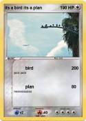 its a bird its