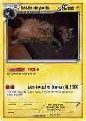 boule de poils