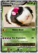 Guinea Pig