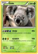 koala