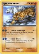 tigre blanc et
